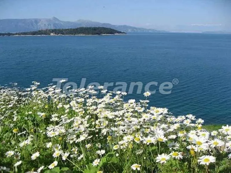 Land in Bodrum, Turkey, 550 m² - picture 4