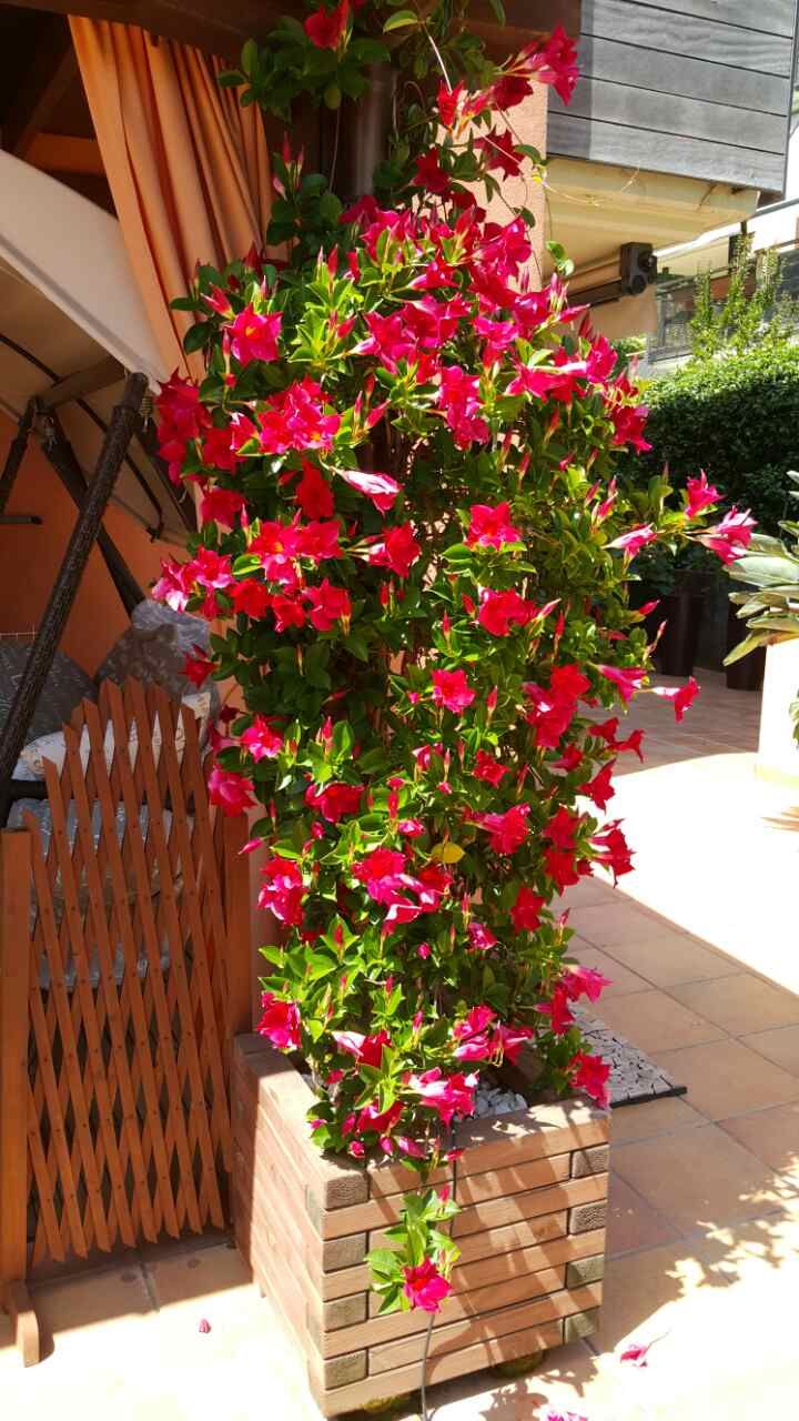 Apartment in Lloret de Mar, Spain, 80 m² - picture 7