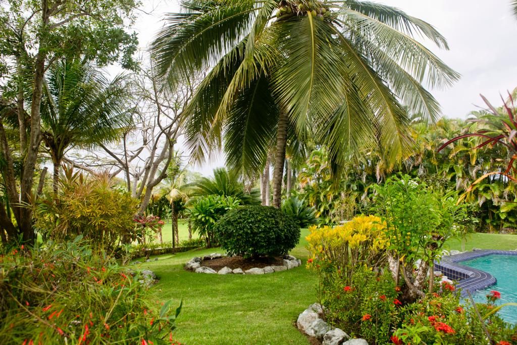 House in Sosua, Dominican Republic, 540 m² - picture 6