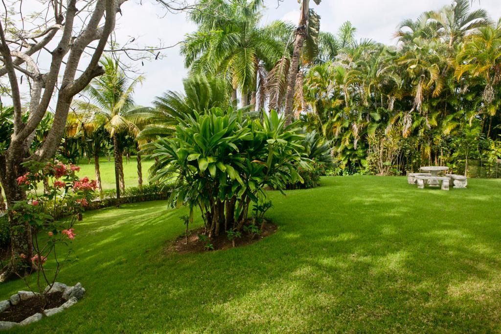 House in Sosua, Dominican Republic, 540 m² - picture 11