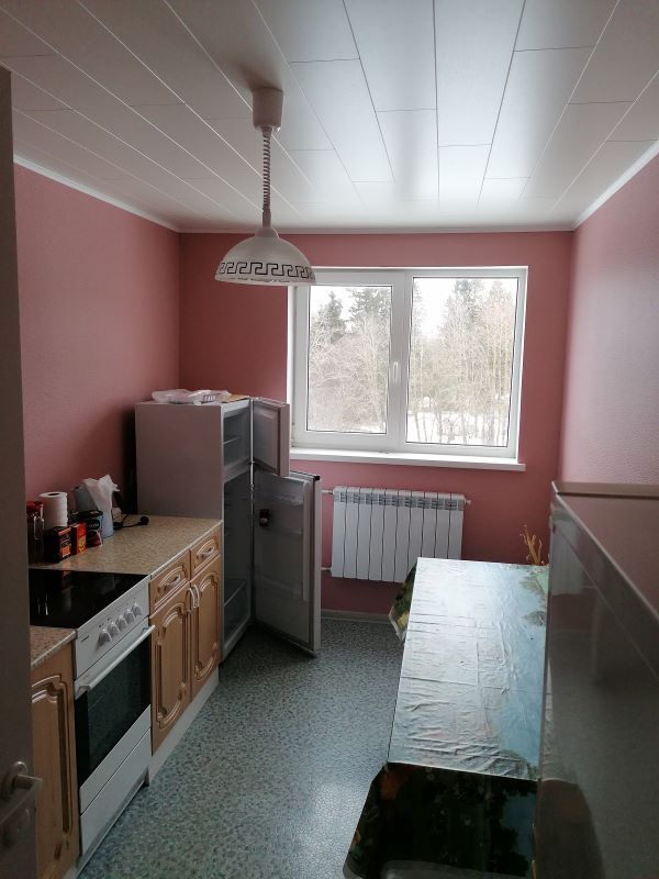 Flat in Pussi, Estonia, 57.9 m² - picture 1