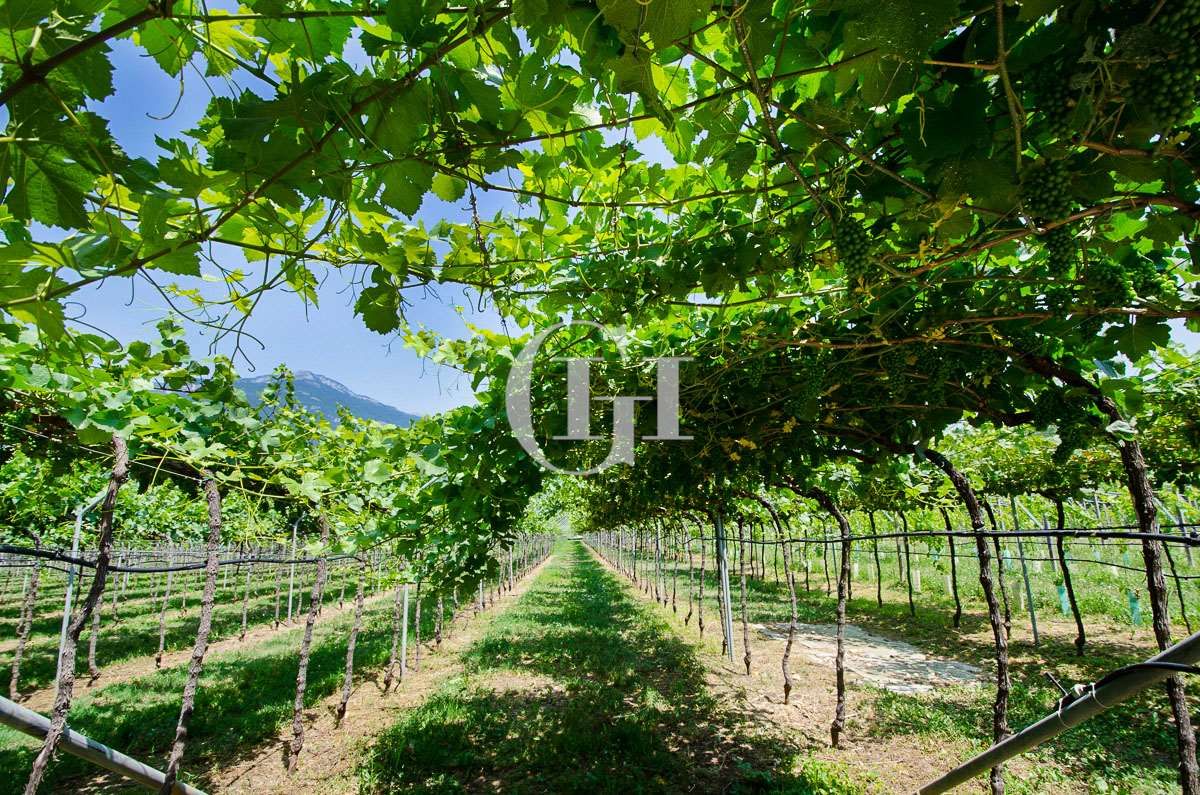 Manor on Lake Garda, Italy, 5 000 m² - picture 5