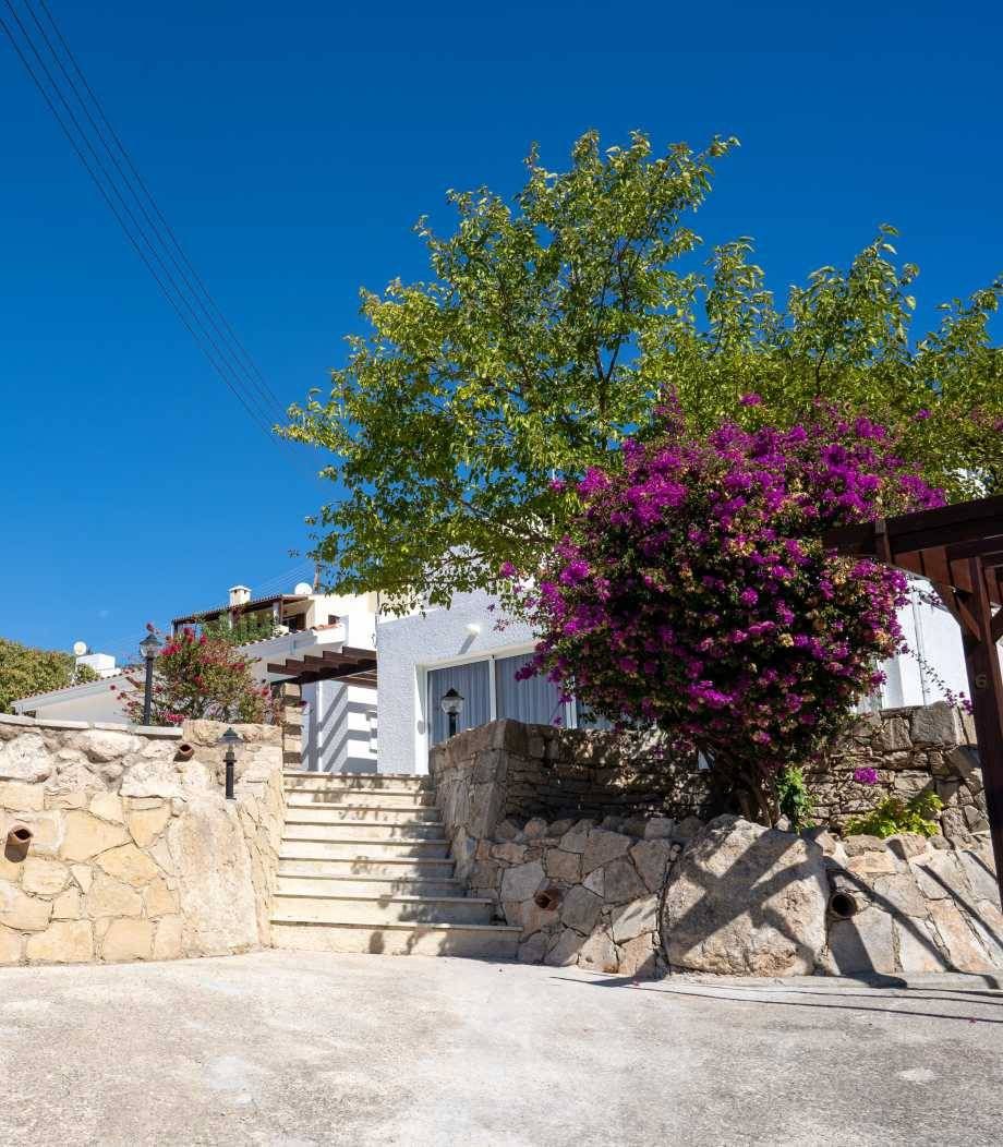 Bungalow in Paphos, Cyprus, 194.6 m² - picture 1