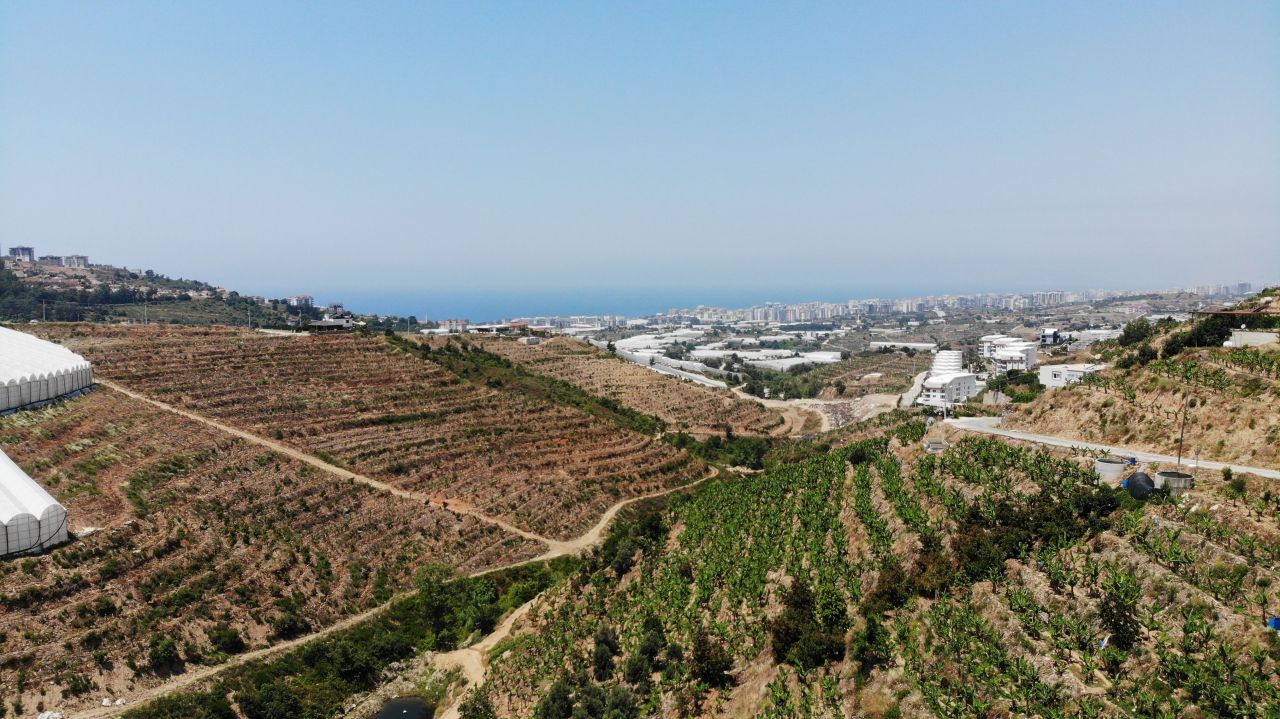 Terrain à Alanya, Turquie, 1 354 m² - image 2