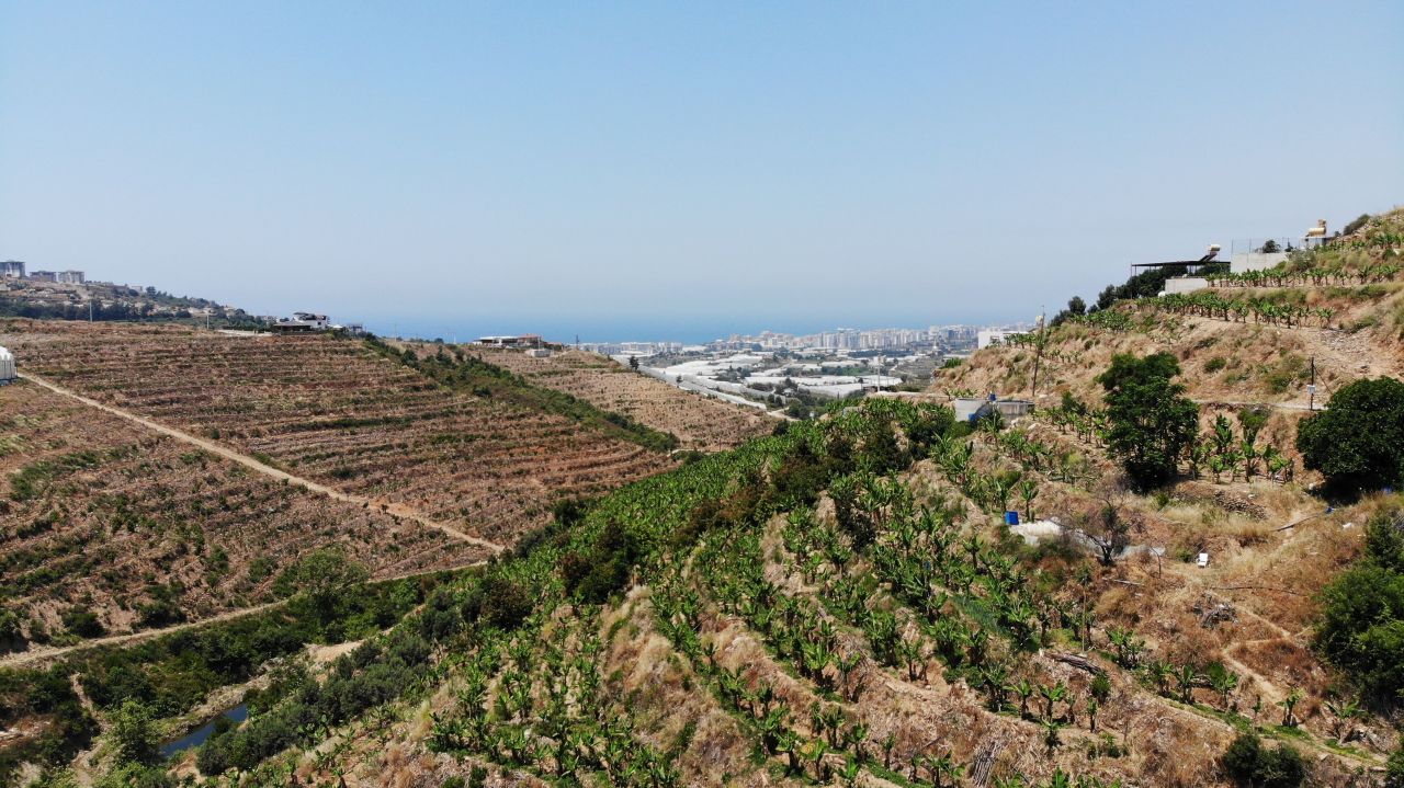 Terrain à Alanya, Turquie, 1 354 m² - image 3