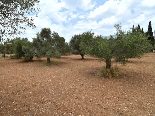 Casa en Loutraki, Grecia, 400 m² - imagen 2