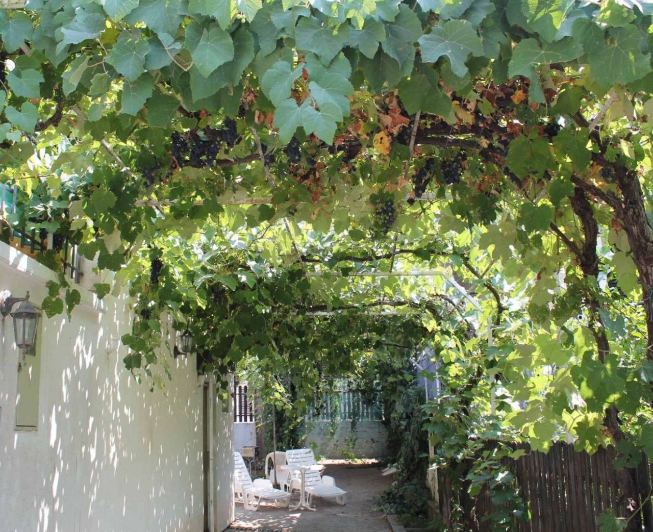 Biens commerciaux à Utjeha, Monténégro, 120 m² - image 8