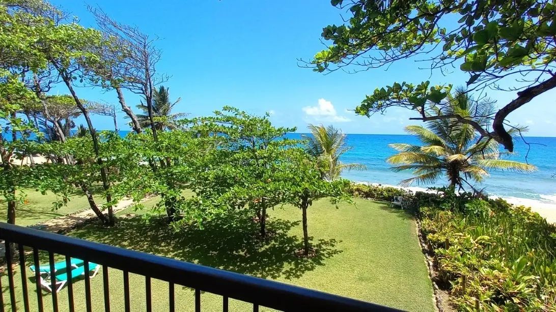 Appartement à Cabarete, République dominicaine, 146 m² - image 10