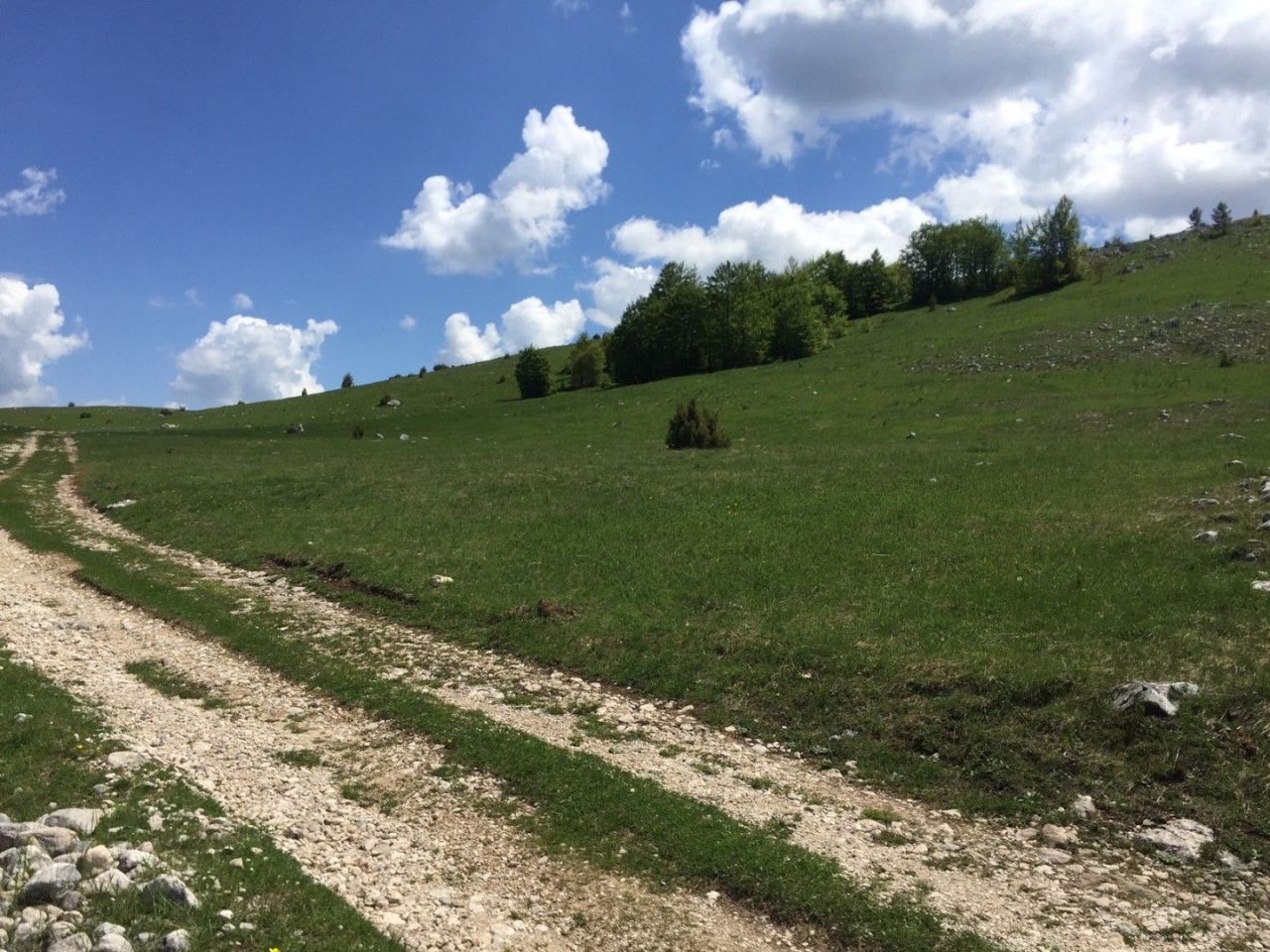 Terreno en Zabljak, Montenegro, 10 799 m² - imagen 1