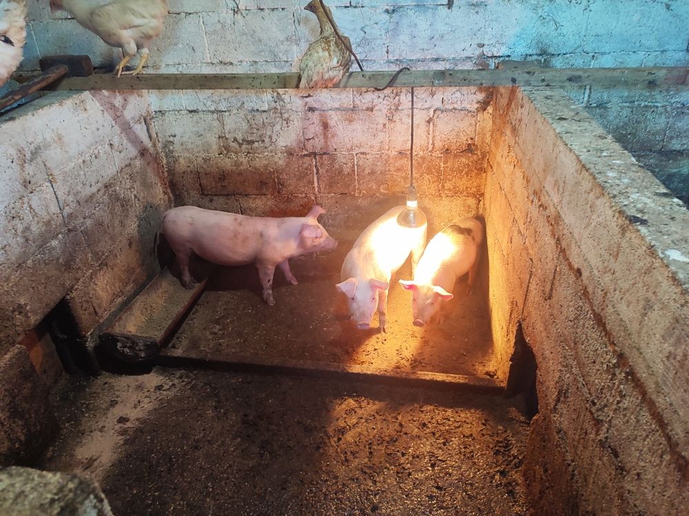 House in Niksic, Montenegro, 120 m² - picture 14