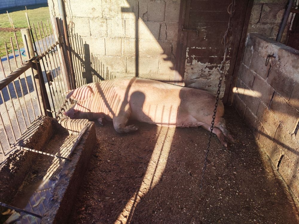 House in Niksic, Montenegro, 120 m² - picture 17