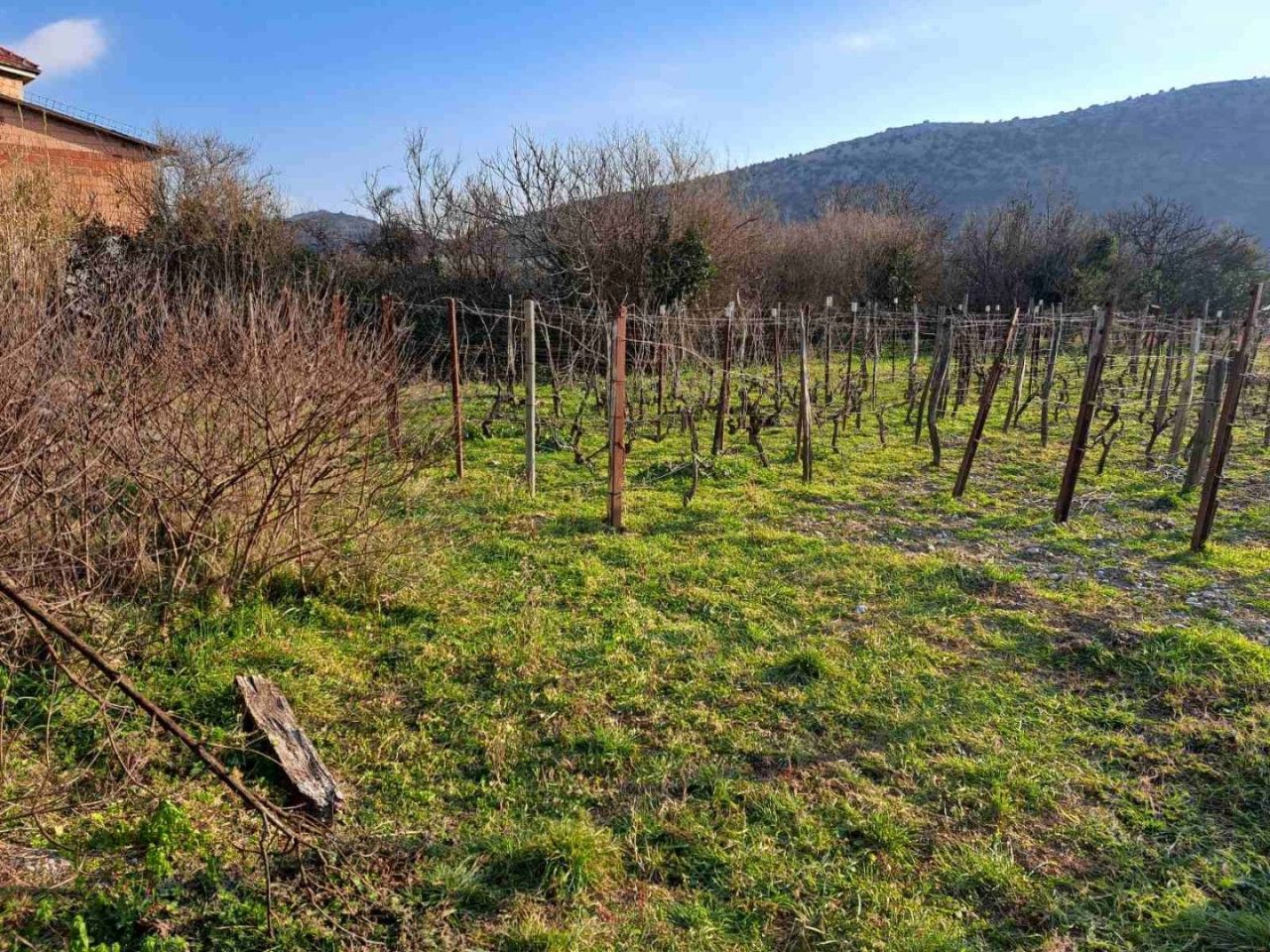 Terreno en el Bar, Montenegro, 1 680 m² - imagen 4