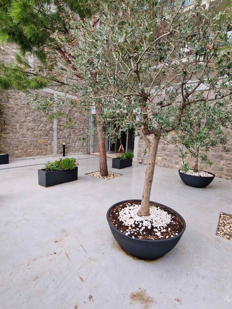 Flat in Dobrota, Montenegro, 403 m² - picture 18