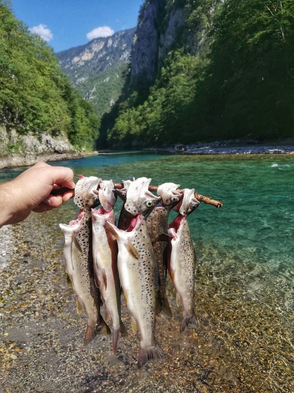 House in Kolasin, Montenegro, 100 m² - picture 11