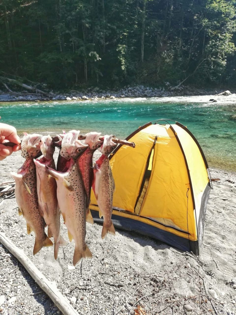 Terrain à Kolasin, Monténégro, 10 000 m² - image 14