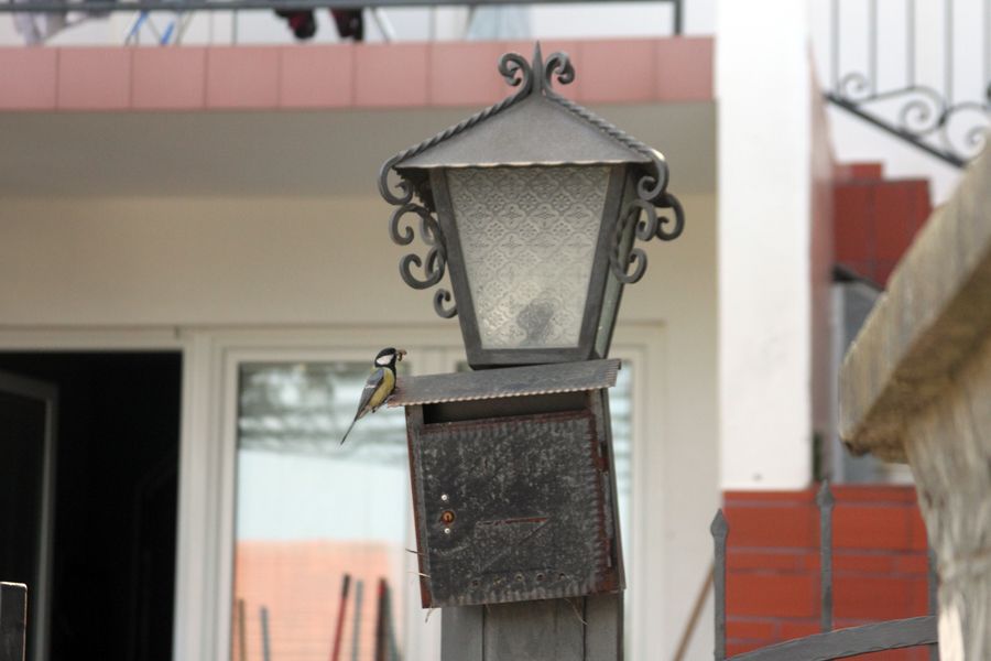 Casa en Sutomore, Montenegro, 160 m² - imagen 4