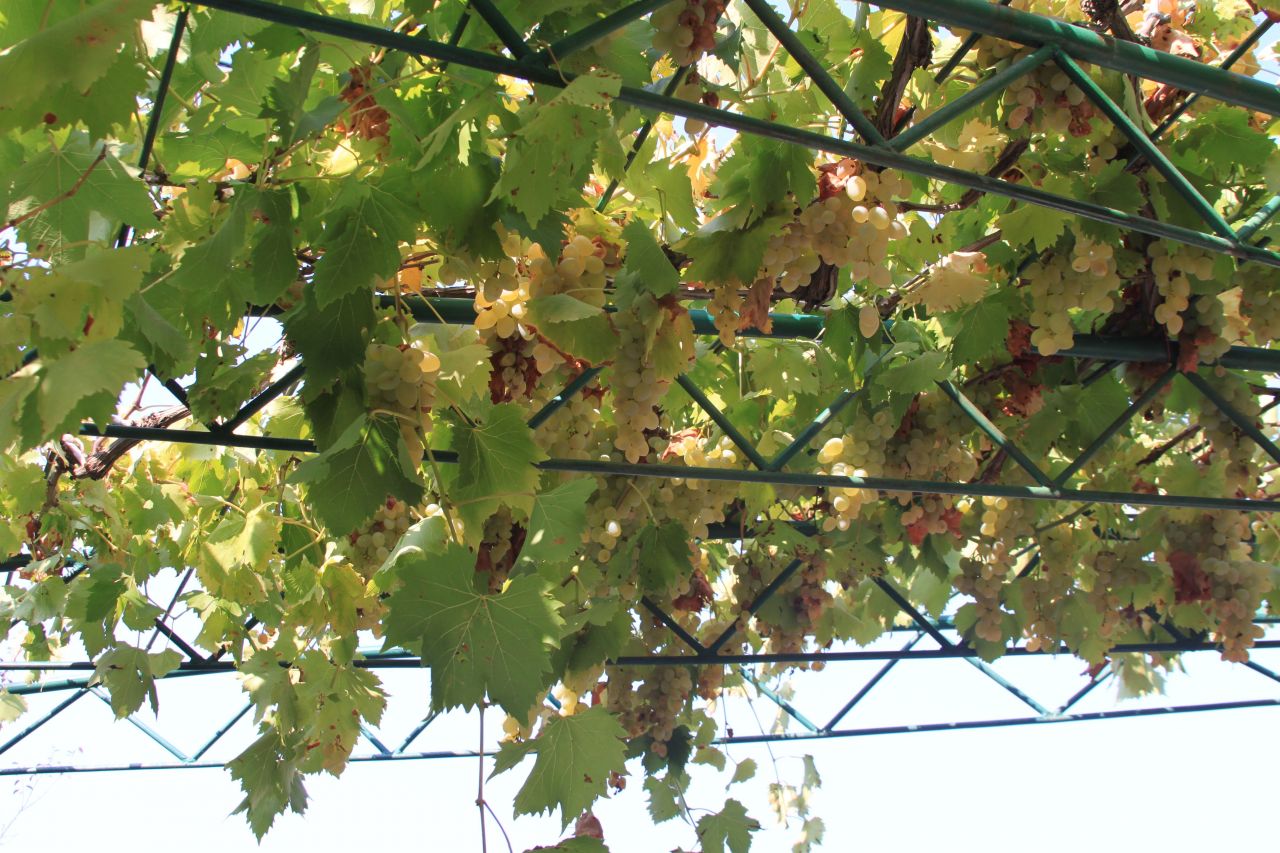 Casa en Sutomore, Montenegro, 160 m² - imagen 12