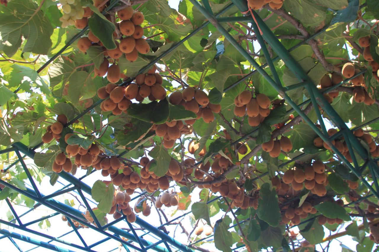 Casa en Sutomore, Montenegro, 160 m² - imagen 13