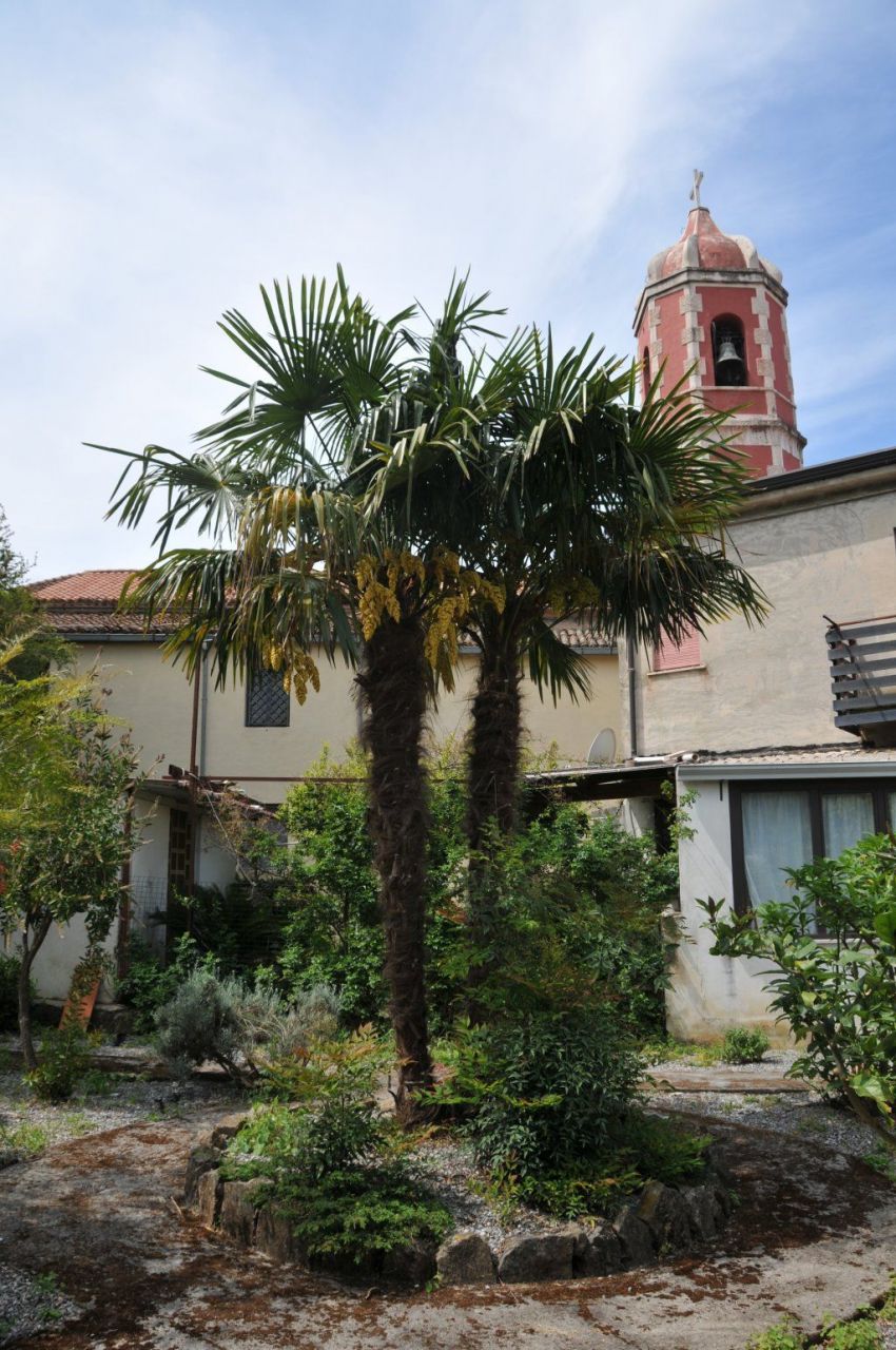 Maison à Santa Maria del Cedro, Italie, 132 m² - image 15