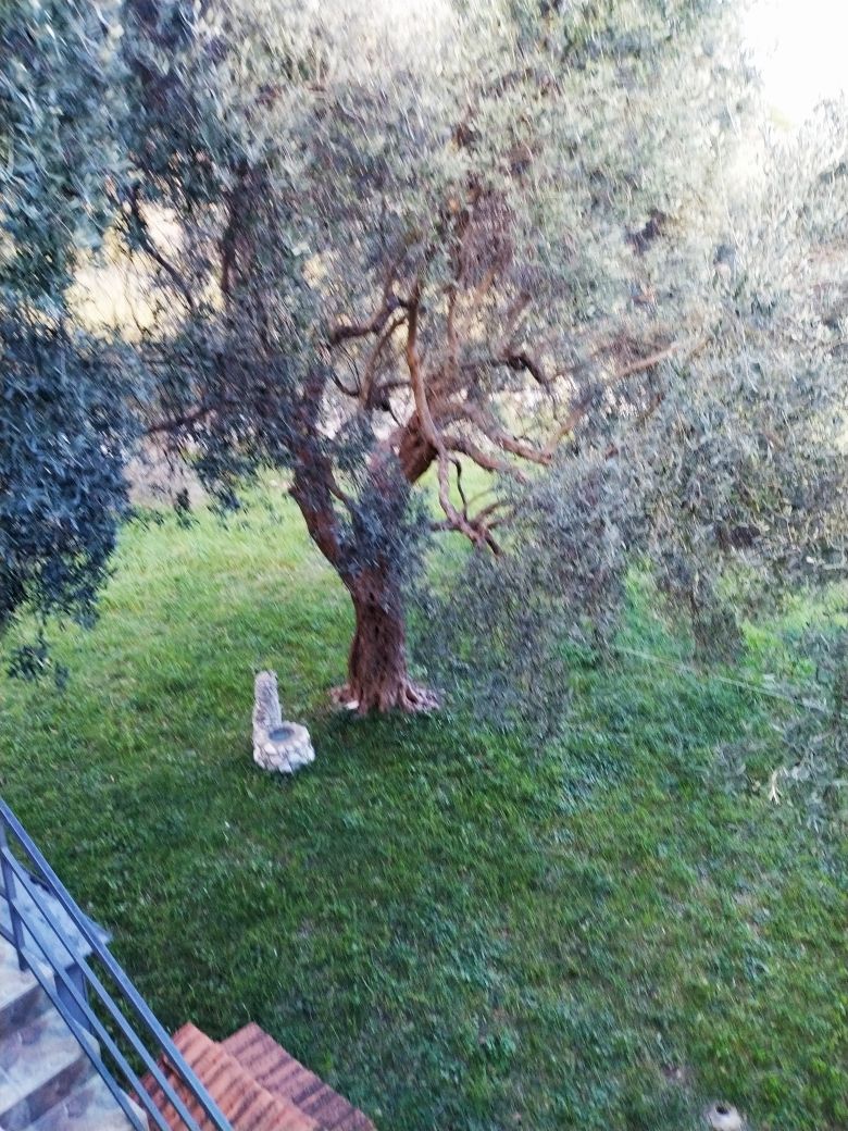 Maison au Bar, Monténégro, 200 m² - image 10