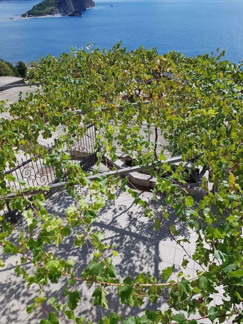 Maison à Budva, Monténégro, 220 m² - image 7