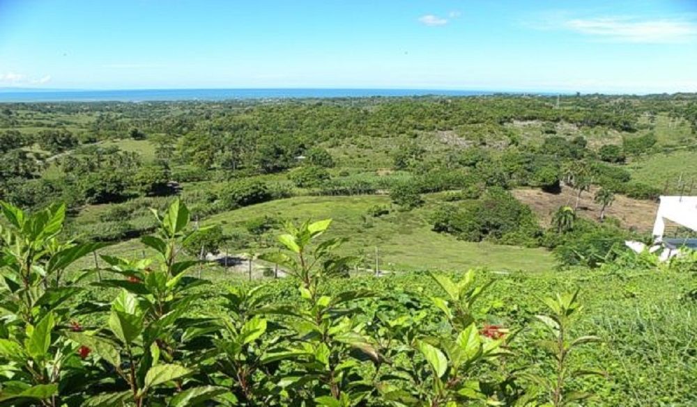 Terrain à Gaspar Hernández, République dominicaine, 400 m² - image 2