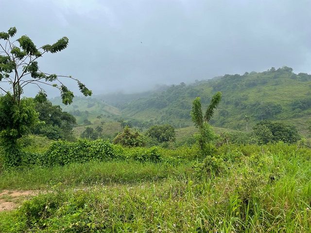 Terrain à Gaspar Hernández, République dominicaine, 400 m² - image 5