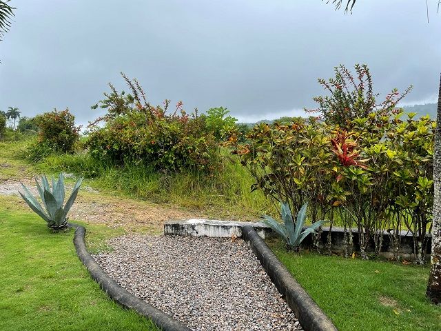 Terrain à Gaspar Hernández, République dominicaine, 400 m² - image 7