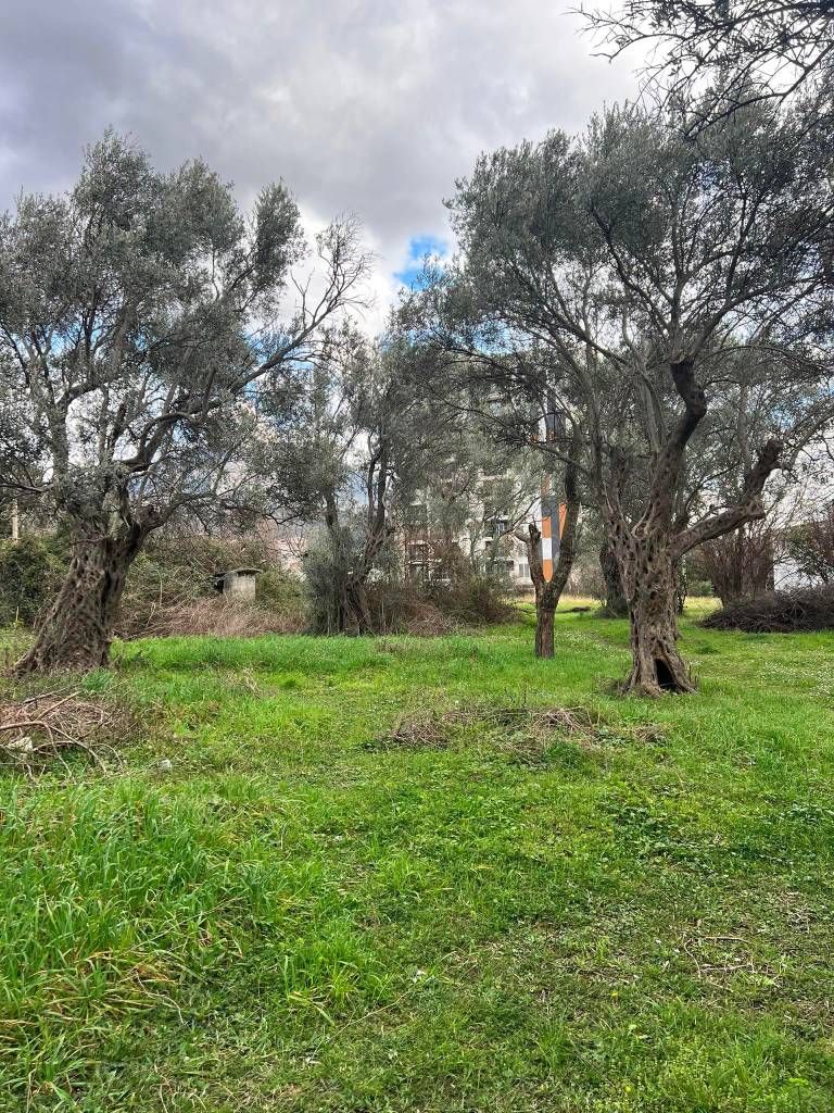 Grundstück in Bar, Montenegro, 604 m² - Foto 4