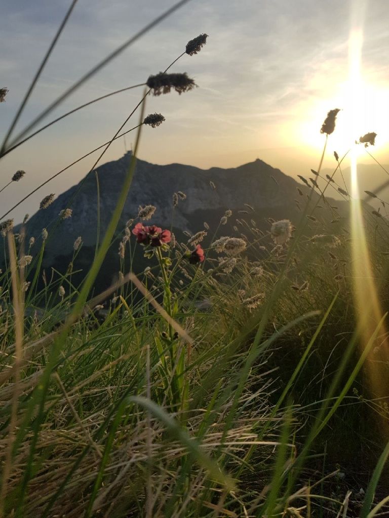 Land in Cetinje, Montenegro, 3 860 m² - picture 3