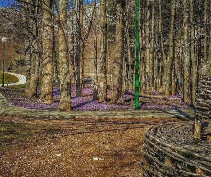 Terreno a Njegusi, Montenegro, 1 676 m2 - foto 4