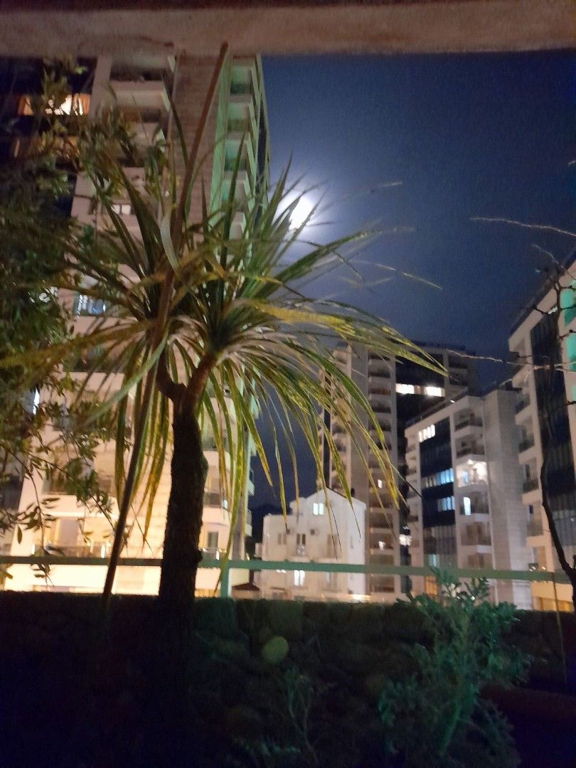 Flat in Budva, Montenegro, 65 m² - picture 4