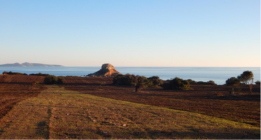 Terreno en Peloponeso, Grecia - imagen 9