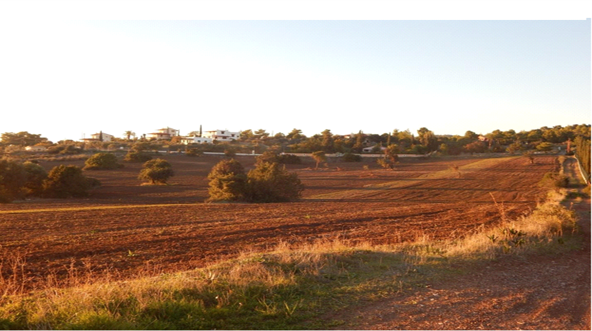 Terreno en Peloponeso, Grecia - imagen 10