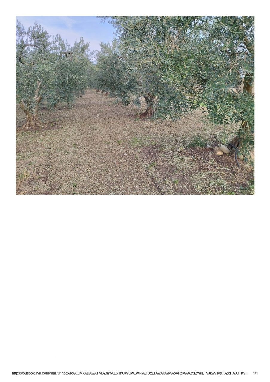 Terreno en Calcídica, Grecia, 2 841 ares - imagen 3