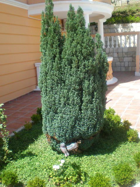 Villa in Petrovac, Montenegro, 470 m² - picture 17