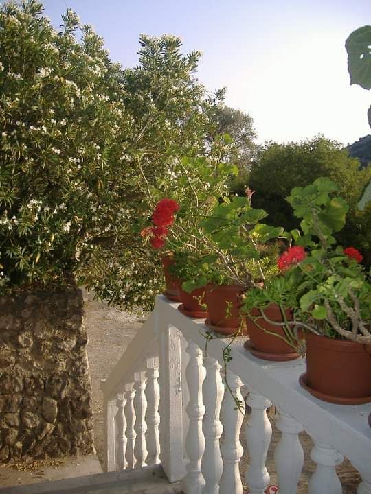 Casa en Sutomore, Montenegro, 157 m² - imagen 3