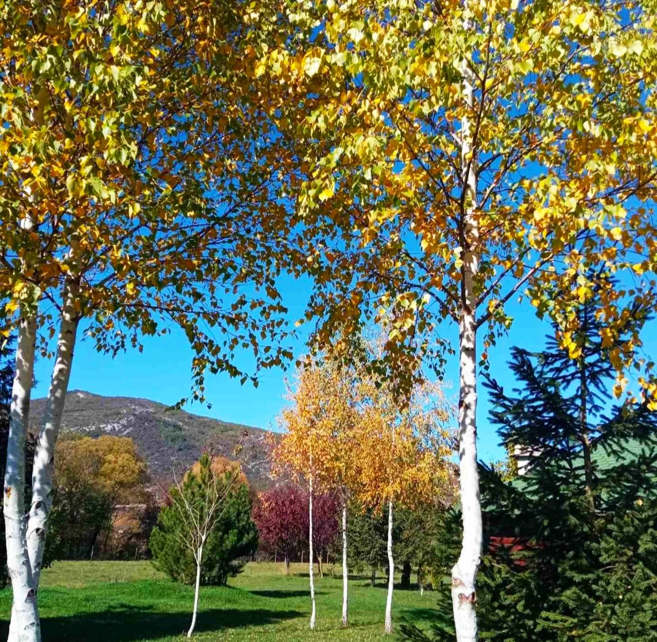 Commercial apartment building in Niksic, Montenegro, 1 500 m² - picture 6