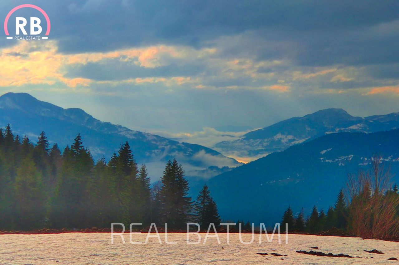 Land in Batumi, Georgia, 500 m² - picture 7