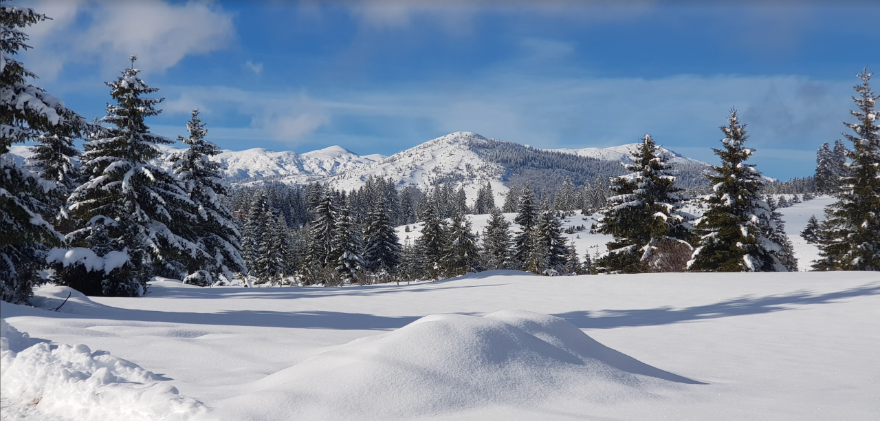 Appartamento a Žabljak, Montenegro, 93 m² - foto 16