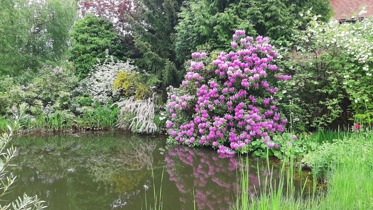 Cottage à Hanovre, Allemagne, 520 m² - image 12