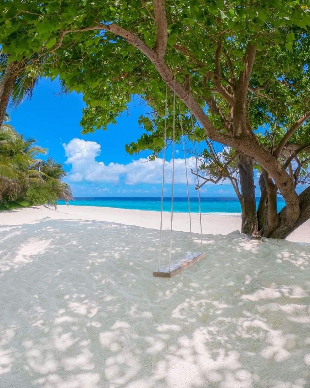 Isla Atoll, Maldivas, 5 973 ha - imagen 1