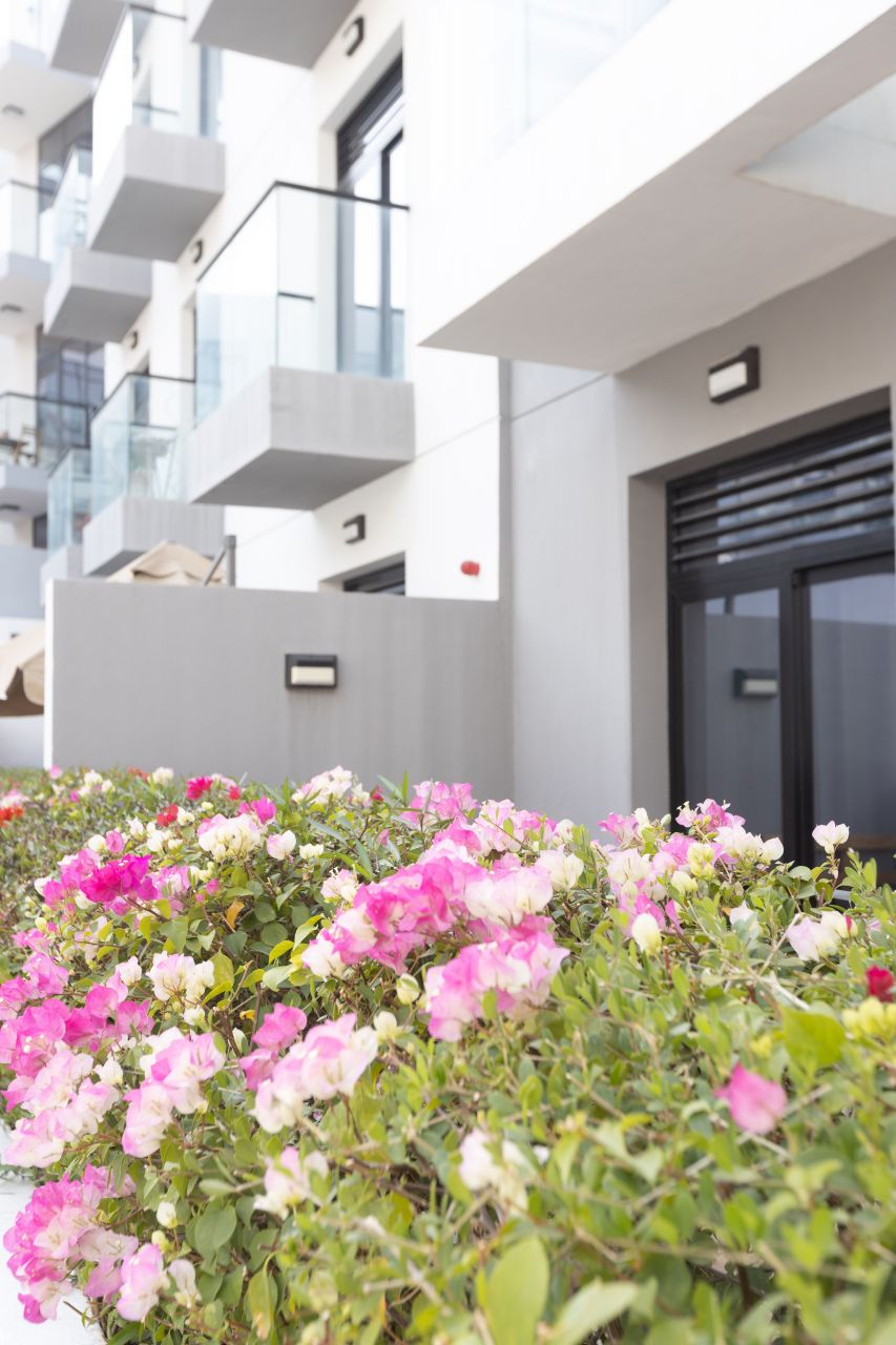 Appartamenti a Dubai, EAU, 64.89 m² - foto 8