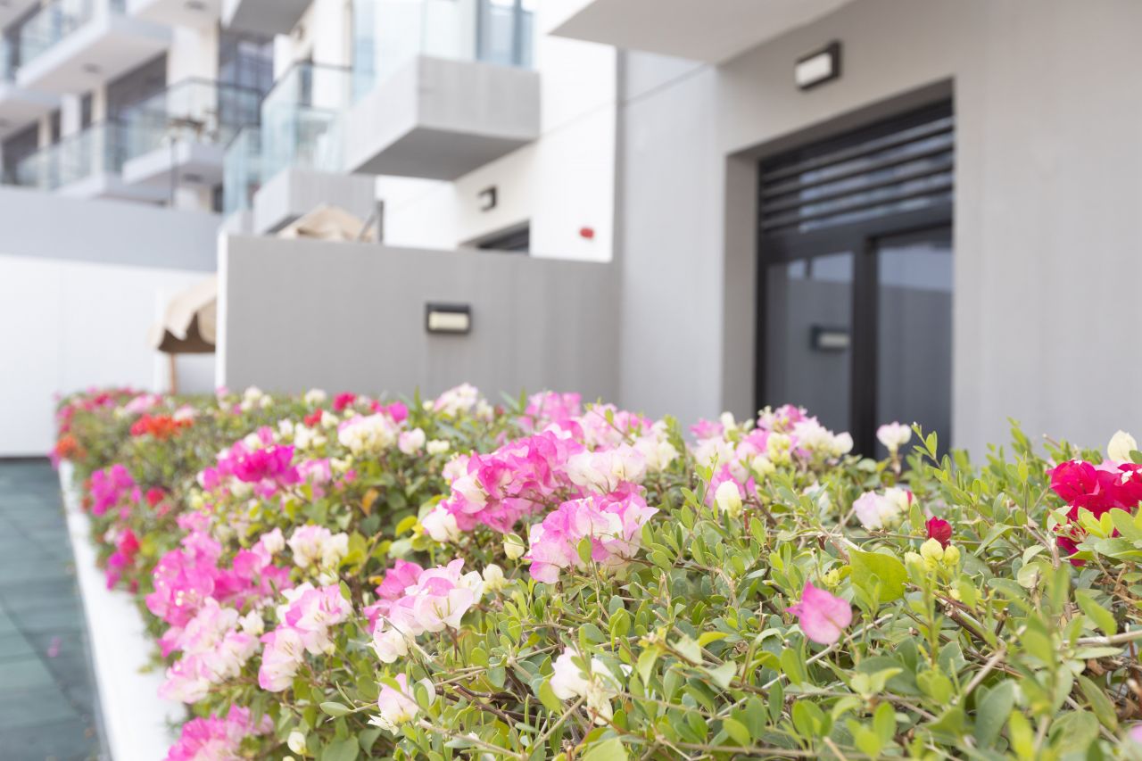 Apartment in Dubai, UAE, 83.62 m² - picture 10