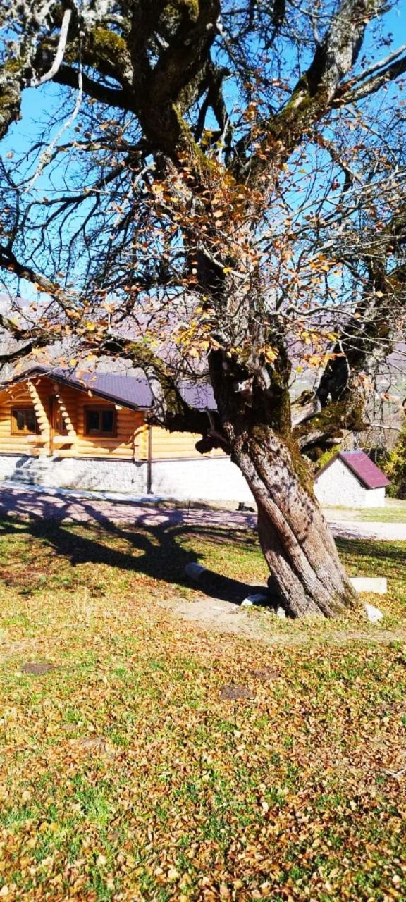 Landgut in Kolasin, Montenegro, 470 m² - Foto 9