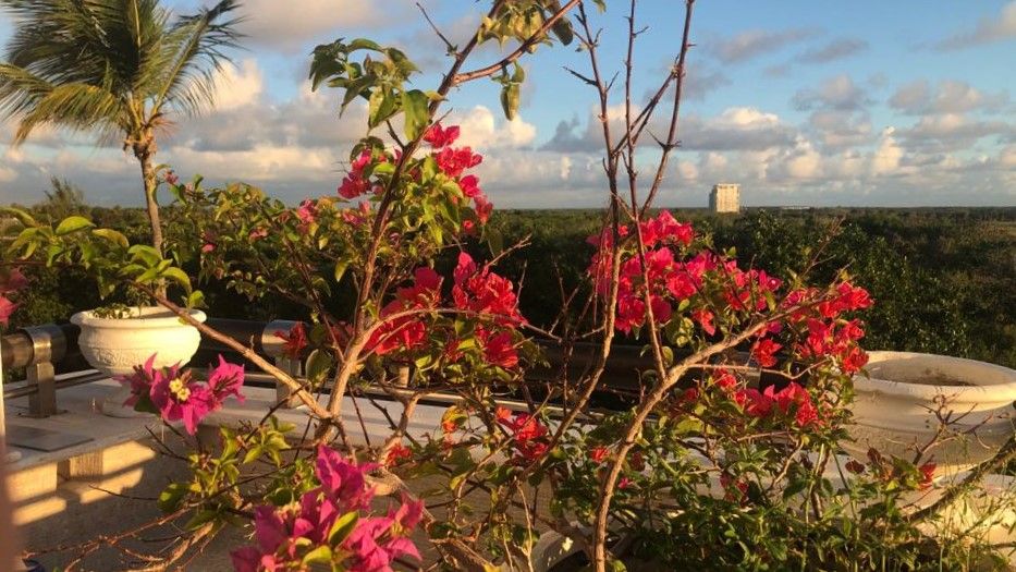 Piso en Punta Cana, República Dominicana, 272 m² - imagen 7