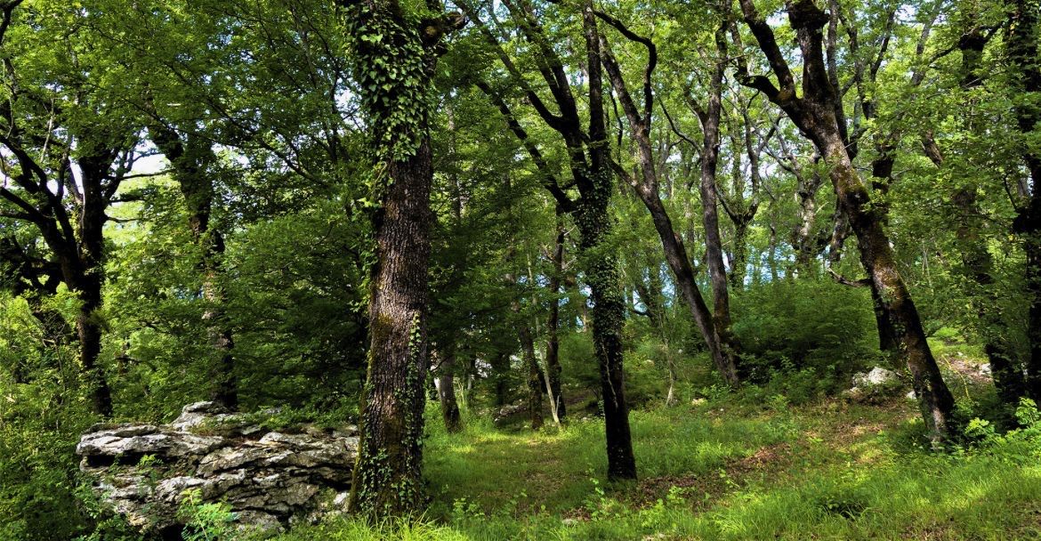 Villa in Sveti Stefan, Montenegro, 270 m² - picture 9