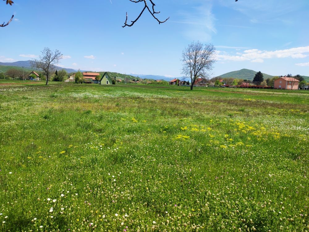 Maison à Nikšić, Monténégro, 300 m² - image 4