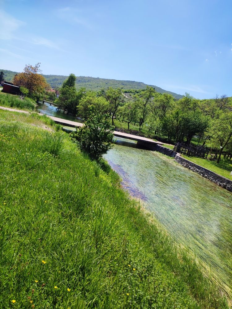 Maison à Nikšić, Monténégro, 300 m² - image 11