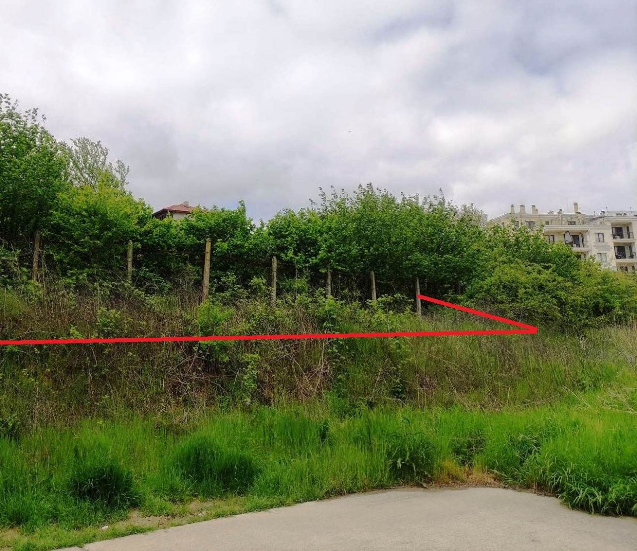 Land in Byala, Bulgaria, 870 m² - picture 3